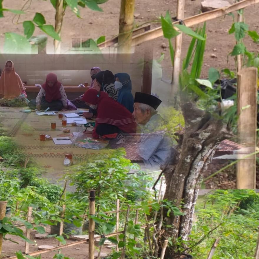 KWT ASRI: Budidaya Tanaman Organik